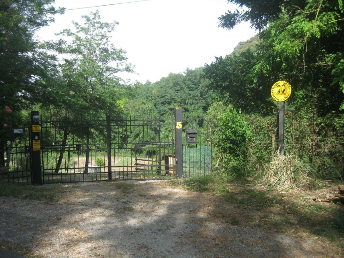 Alloggio Turistico Mooneyes Daire Castiglione In Teverina Dış mekan fotoğraf